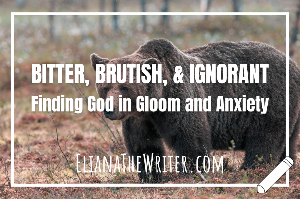 Bitter, Brutish, and Ignorant: Finding God in Gloom and Anxiety