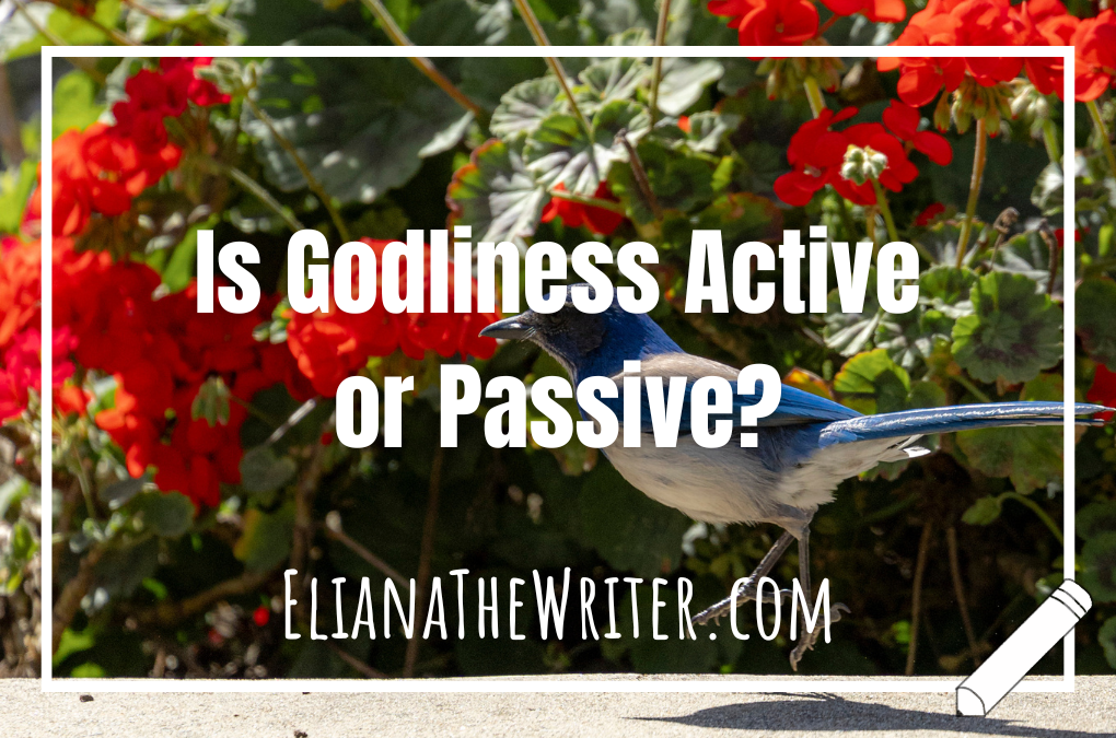 Is Godliness Active or Passive?